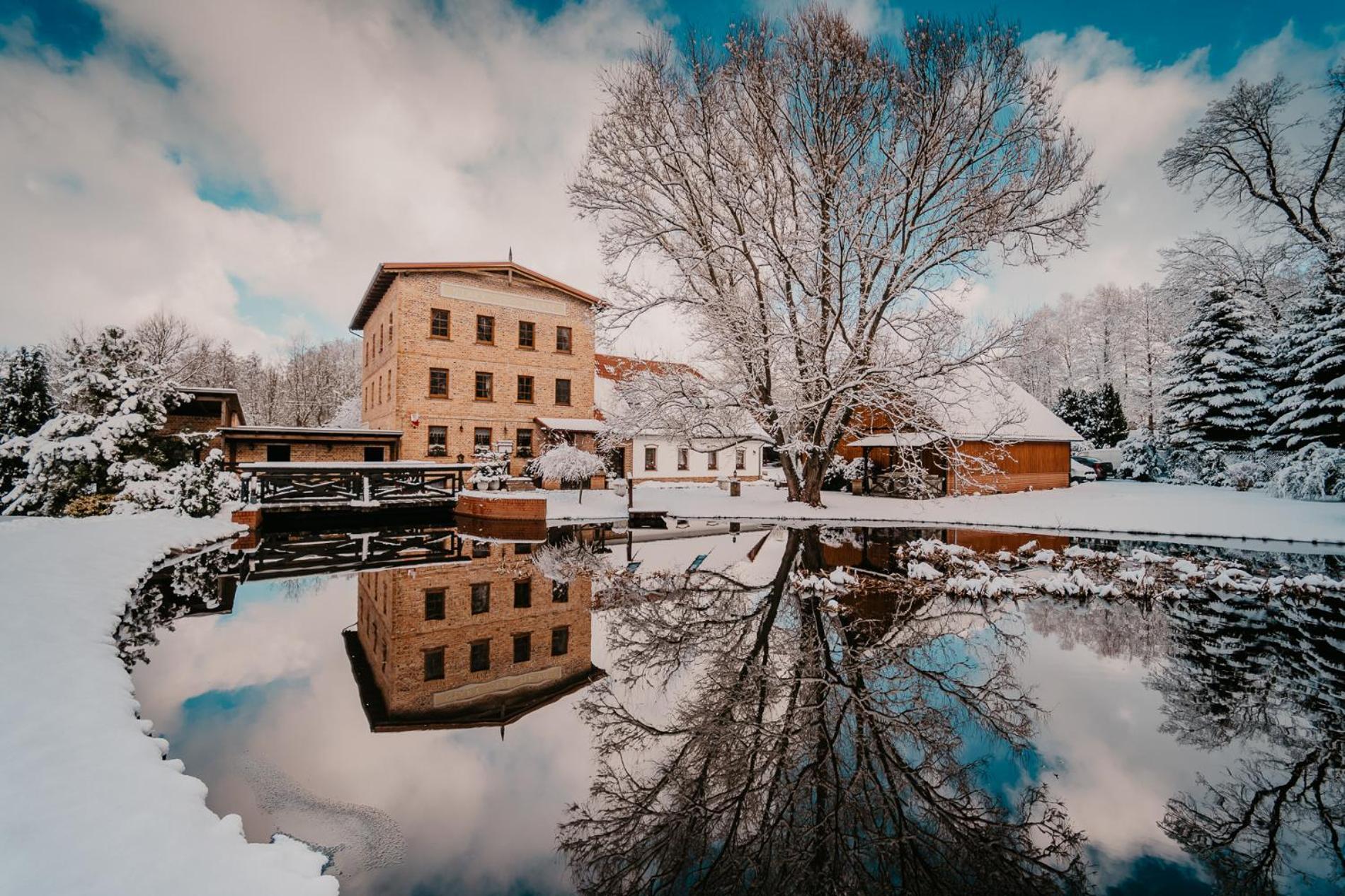 Stary Mlyn W Brzeznicy Brzeznica (Krosno Odrzanskie) Exterior foto